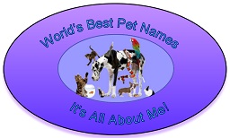 World's Best Pet Names